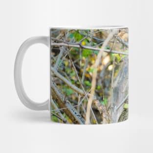 A Squirrel Hiding In The Bushes. Mug